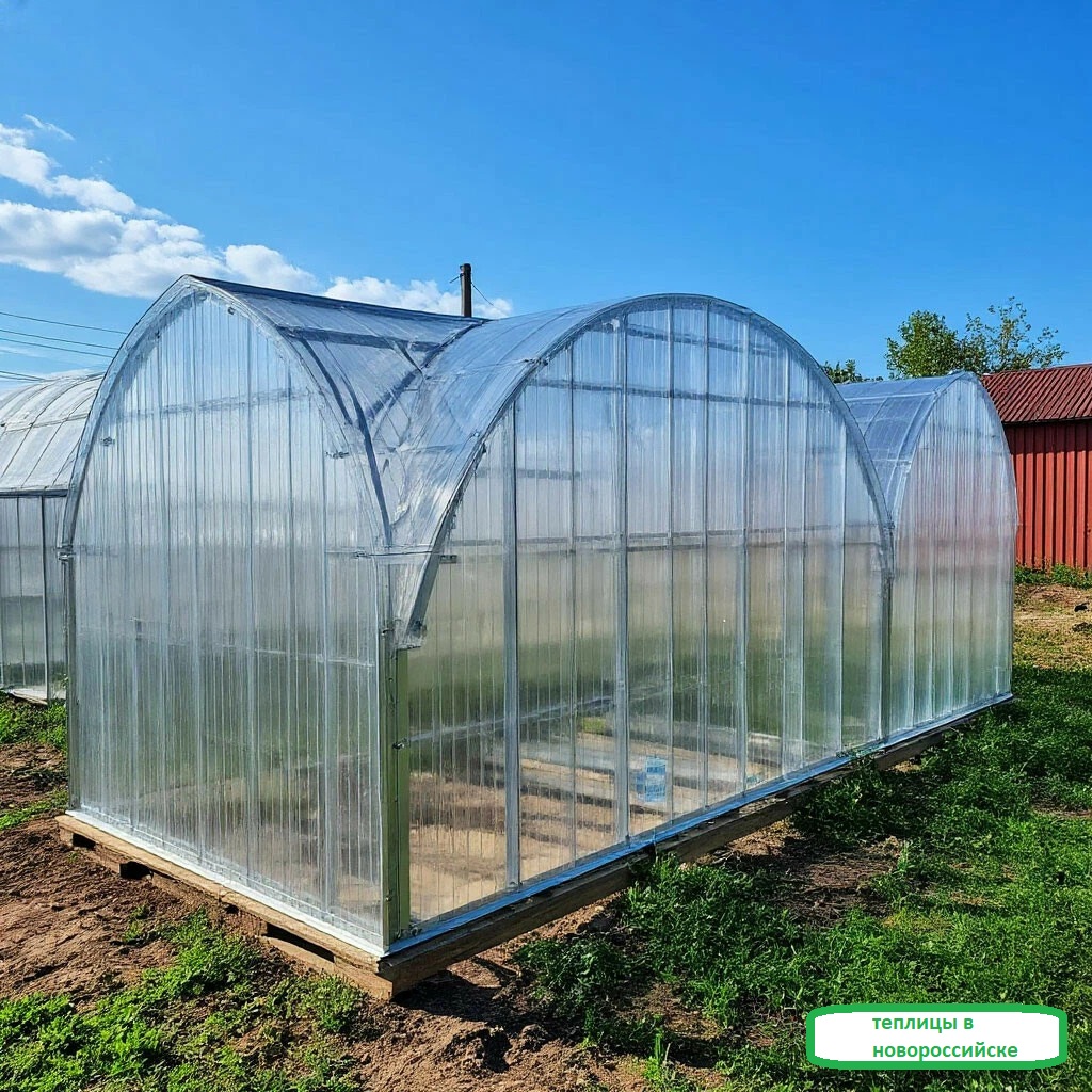 теплицы в Новороссийске